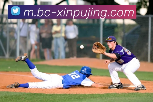 App Interface Preview