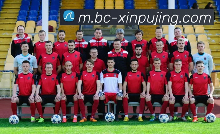 澳门新葡京娱乐APP 封面图